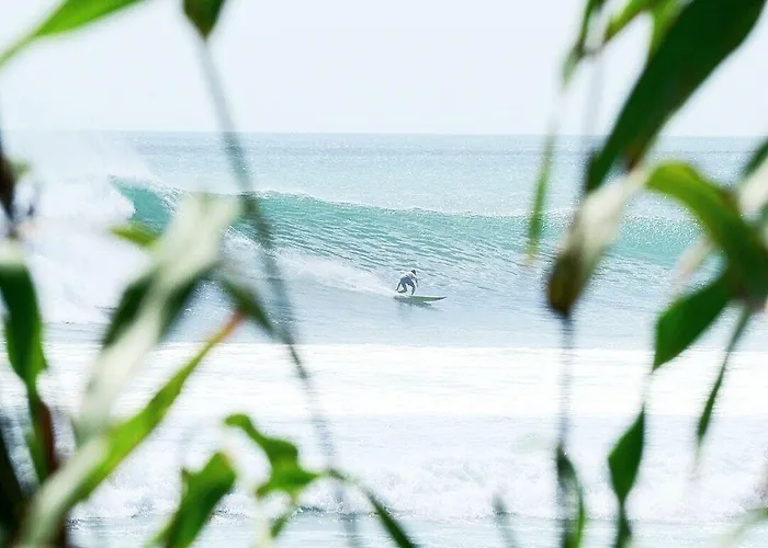 Balangan Surf 2*